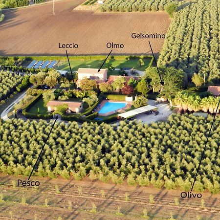 Podere Campi al Mare Villa Donoratico Esterno foto