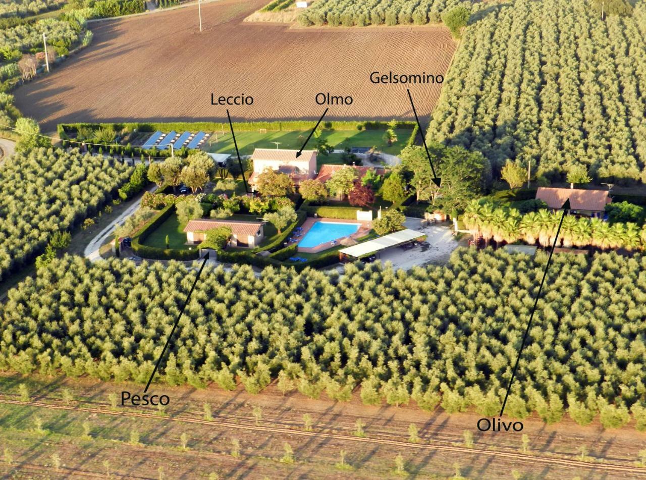 Podere Campi al Mare Villa Donoratico Esterno foto